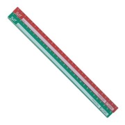 磁鐵COX-30cm 2入mr300