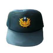 義務導護帽